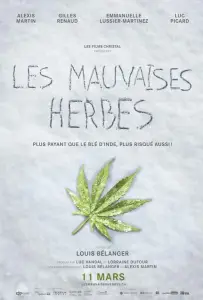 Плохие семена (фильм 2016)