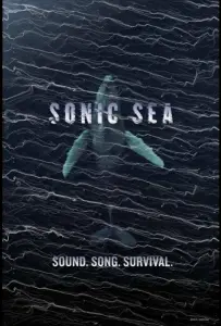 Оглушающий океан (фильм 2016)