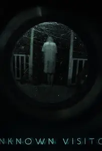 Незнакомый гость (фильм 2019)