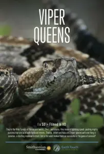 Королевы гадюк (фильм 2016)