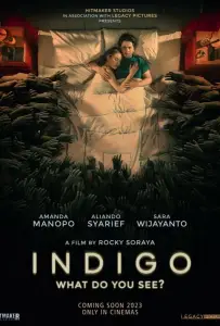 Индиго (фильм 2023)