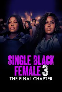 Одинокая темнокожая женщина: Последняя глава (фильм 2025)