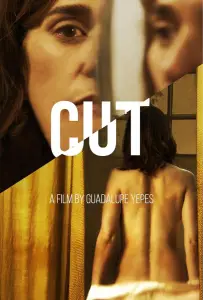 Снято! (фильм 2020)