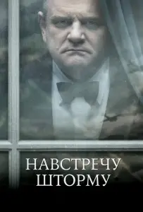 Навстречу шторму (фильм 2009)