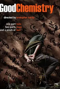Хорошая химия (фильм 2008)