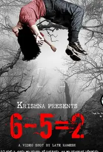 6-5=2 (фильм 2013)