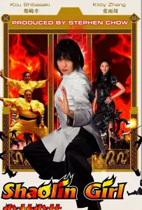 Девушка из Шаолиня (фильм 2008)