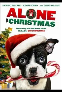 Одни на Рождество (фильм 2013)