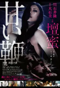 Сладкий кнут (фильм 2013)